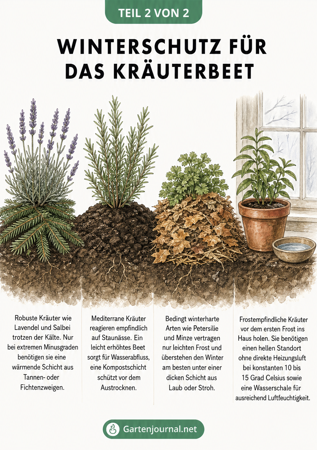 Illustration von Lavendel, Rosmarin, Petersilie und Zitronenverbene mit passendem Winterschutz