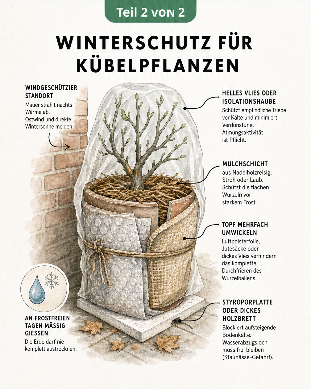 Schnittzeichnung einer winterharten Topfpflanze mit Winterschutz aus Vlies, Mulch, Luftpolsterfolie und Styroporplatte