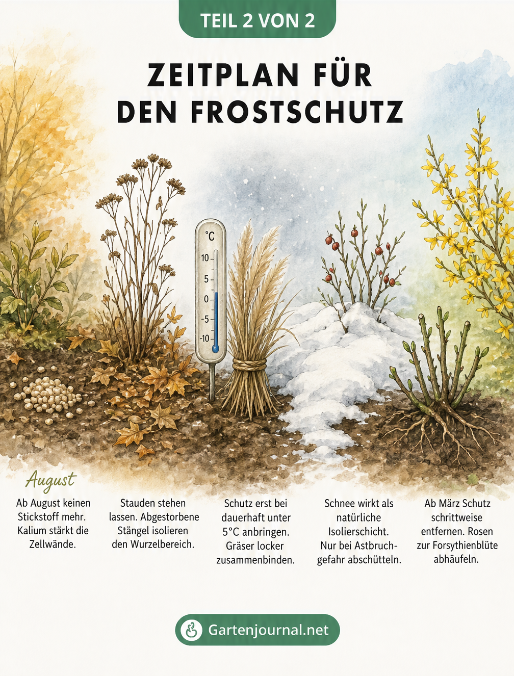 Handgezeichneter Landschaftsschnitt, der den Zeitplan für den Frostschutz vom Spätsommer bis zum Frühjahr darstellt.