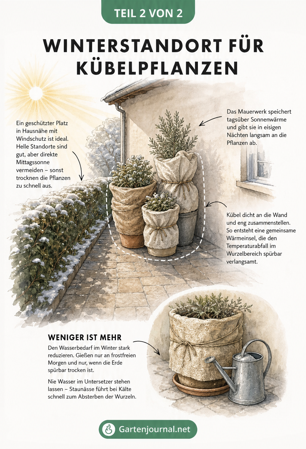 Isometrische Zeichnung einer Terrasse im Winter mit eng zusammengestellten Kübelpflanzen an einer Hauswand, Windschutz durch eine Hecke und Gießregeln.