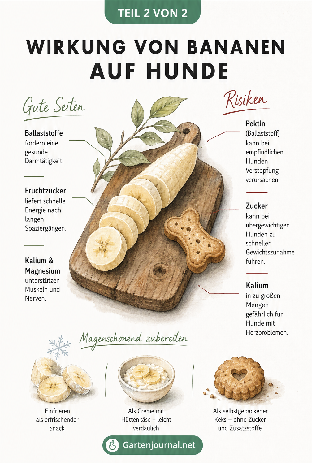 Gegenüberstellung der positiven und negativen Wirkungen von Bananen-Inhaltsstoffen auf Hunde