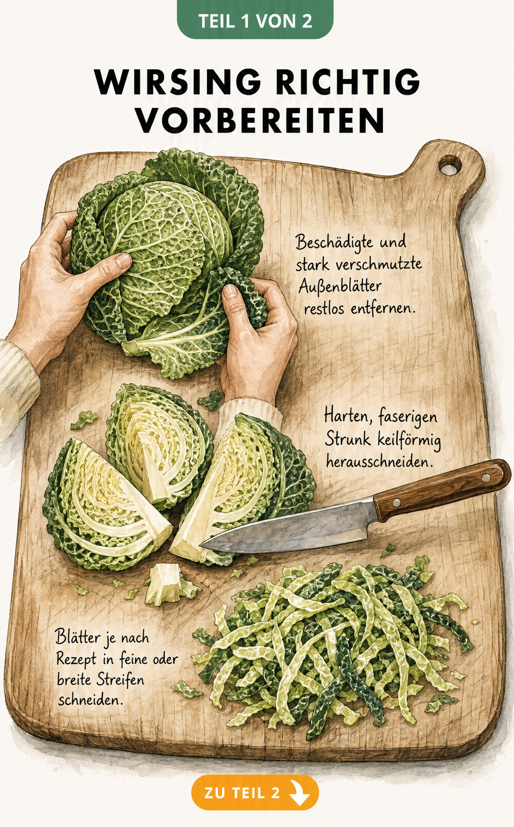 Illustration eines Holzschneidebretts mit vier Arbeitsschritten zur Vorbereitung von Wirsing: Außenblätter entfernen, Strunk herausschneiden und Blätter in...