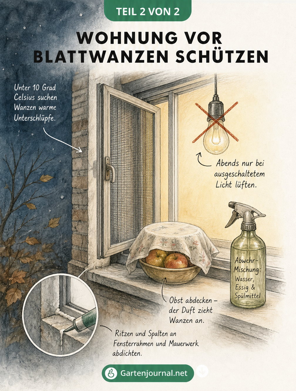 Isometrische Zeichnung eines Fensters mit Fliegengitter, abgedichteten Rissen und Hausmitteln gegen Wanzen