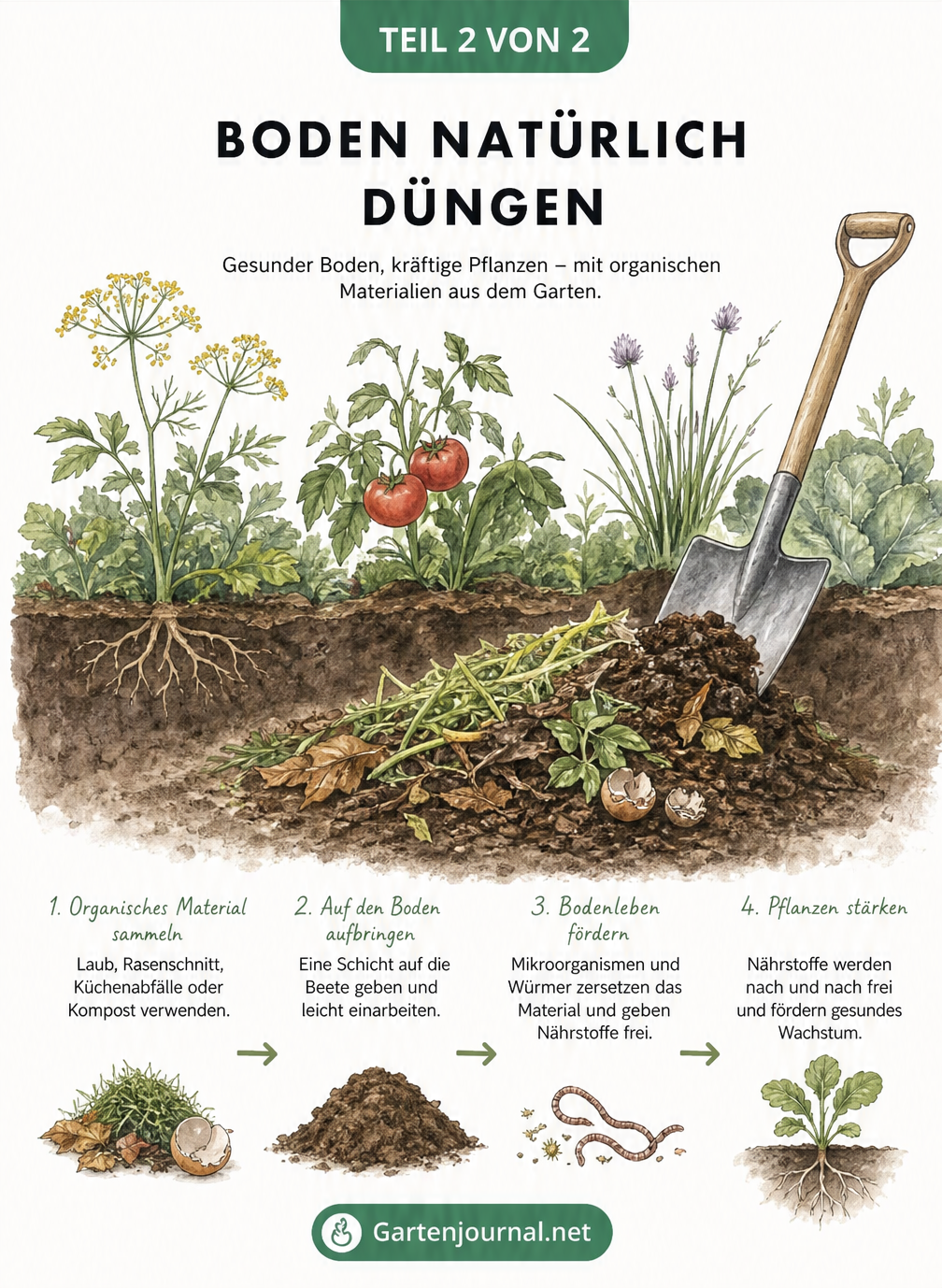 Illustration verschiedener Methoden zur Vertreibung von Wühlmäusen wie Fluten der Gänge und Geruchsbarrieren