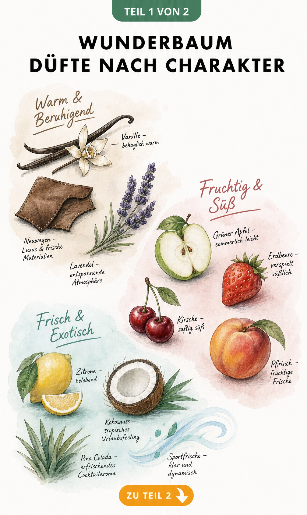 Botanische Lehrtafel mit Wunderbaum-Düften, unterteilt in Warm & Beruhigend, Fruchtig & Süß sowie Frisch & Exotisch