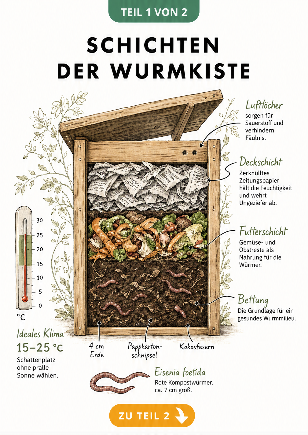 Querschnitt einer Wurmkiste mit Deckschicht, Futterschicht und Bettung für Kompostwürmer