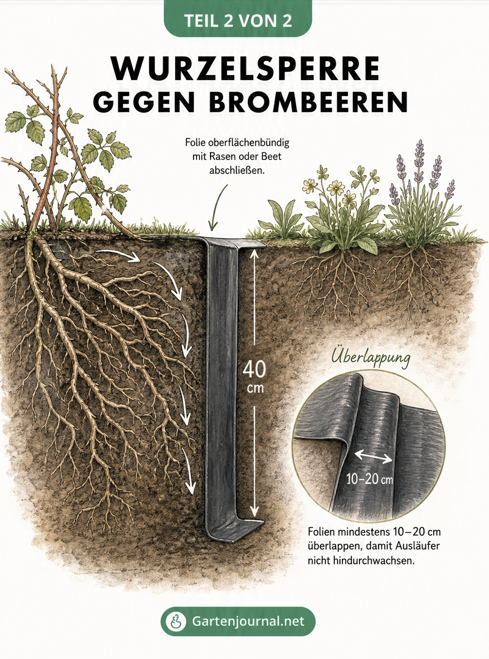 Querschnitt eines Gartengrabens mit einer 40 cm tiefen Wurzelsperre aus Folie gegen Brombeerausläufer