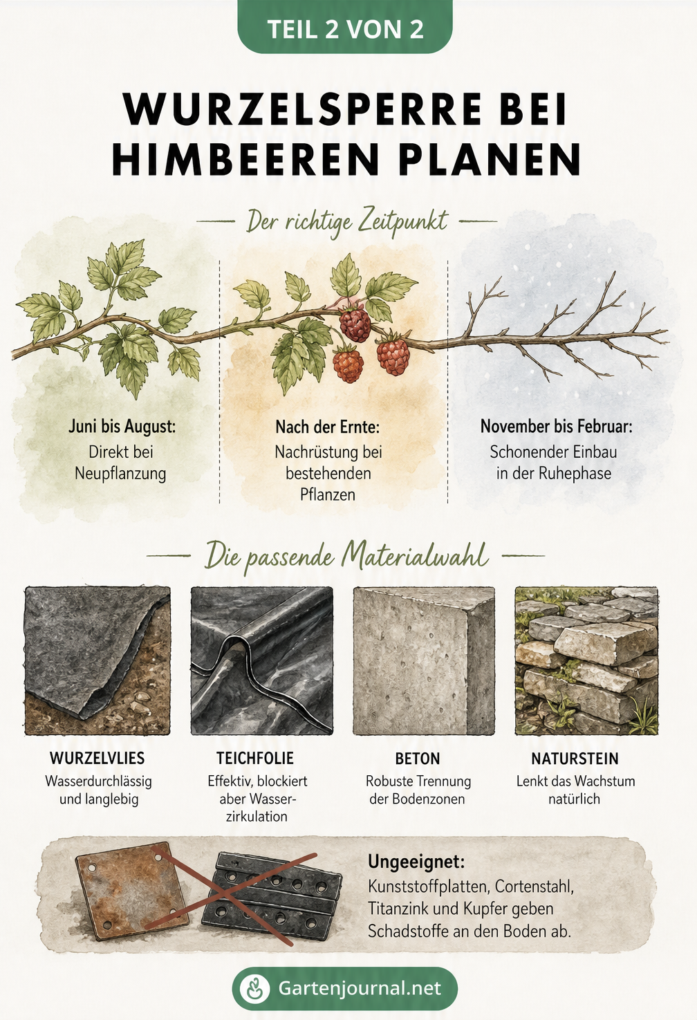 Übersicht zu optimalen Zeitpunkten und geeigneten Materialien für eine Himbeer-Wurzelsperre