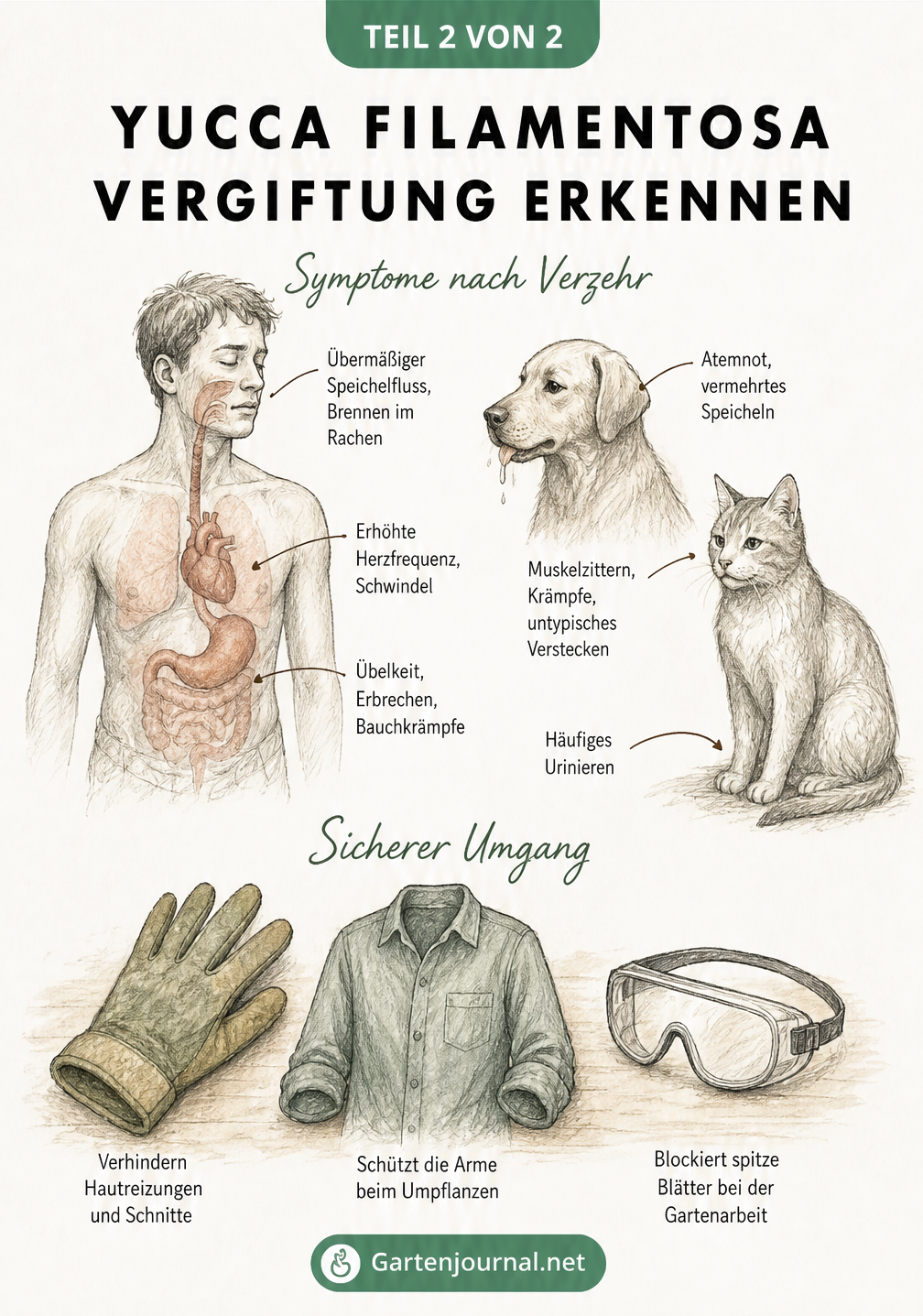 Illustration von Vergiftungssymptomen bei Mensch und Tier sowie Schutzmaßnahmen bei der Gartenarbeit