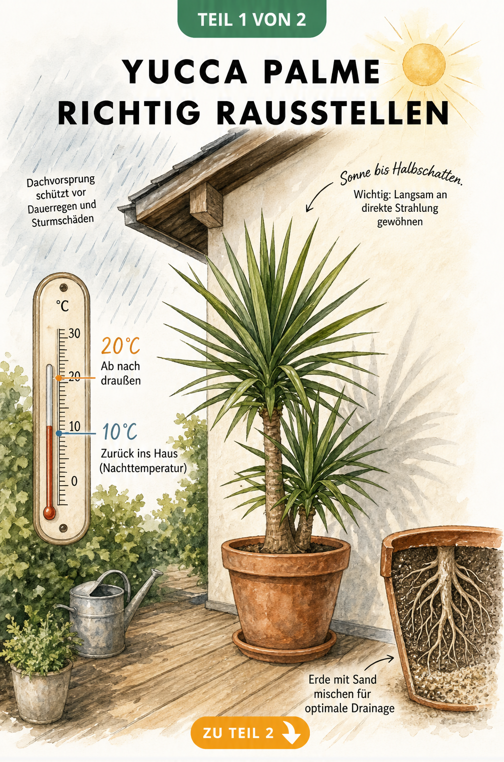 Illustration einer Yucca-Palme im Topf auf einer Terrasse mit Thermometer und Hinweisen zu Standort und Temperatur