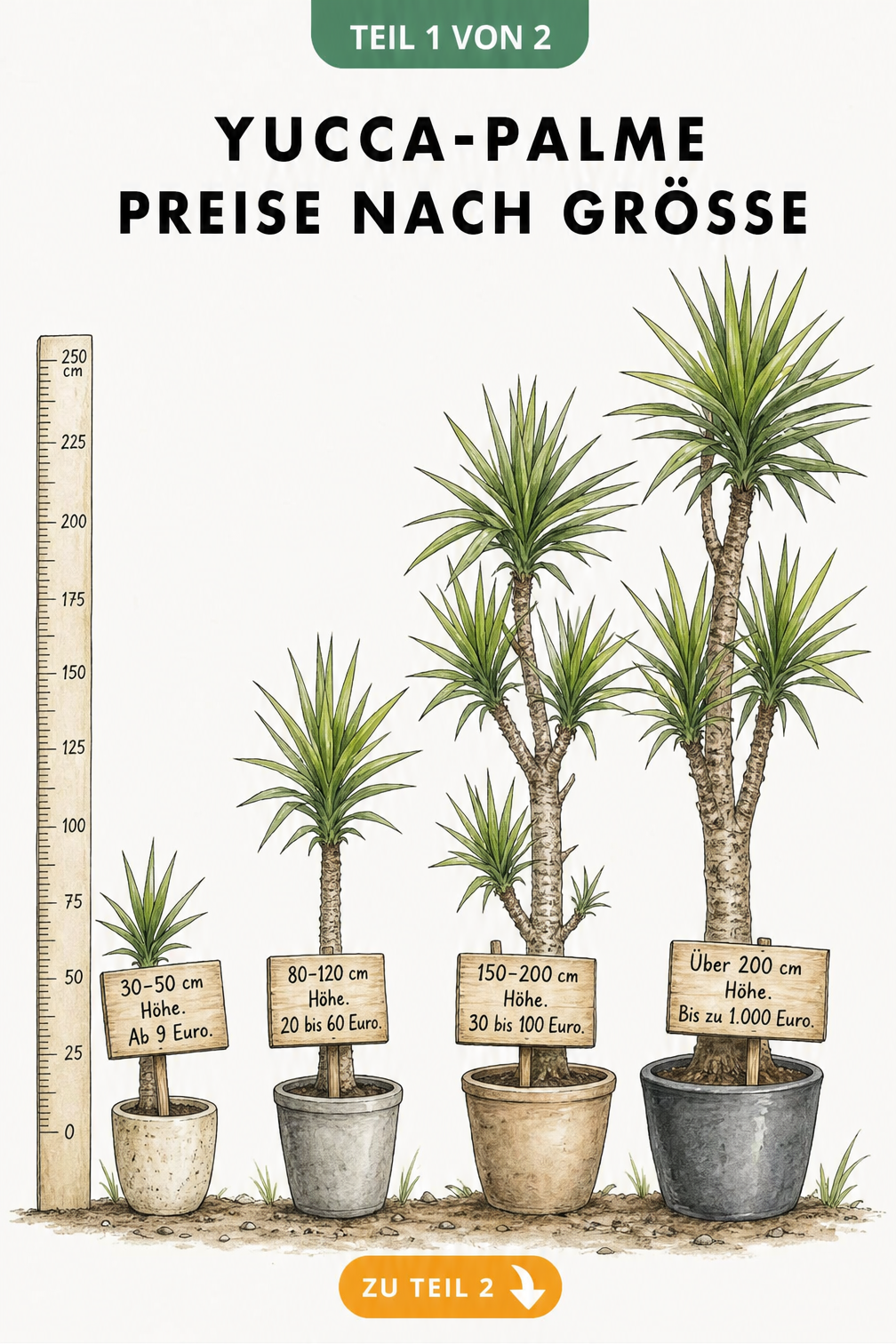 Illustration von vier Yucca-Palmen in aufsteigender Größe mit Preisschildern von 9 bis 1000 Euro
