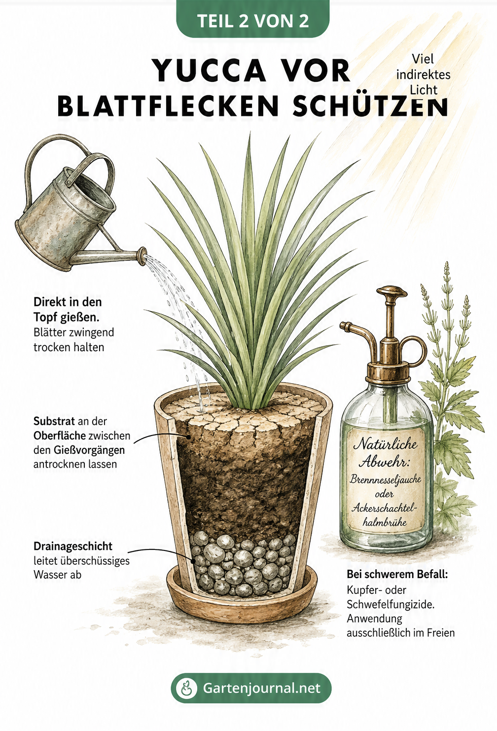 Querschnitt eines Yucca-Topfes mit Drainageschicht, Gießkanne und Sprühflasche mit natürlicher Abwehr