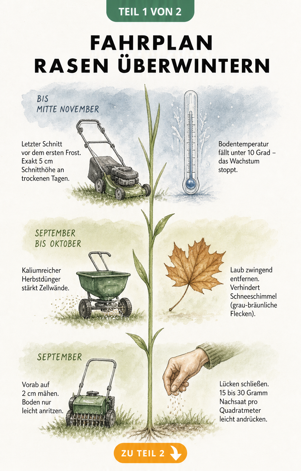 Vertikaler Zeitstrahl zur Rasenpflege im Herbst mit Aquarell-Zeichnungen von Vertikutierer, Streuwagen und Rasenmäher