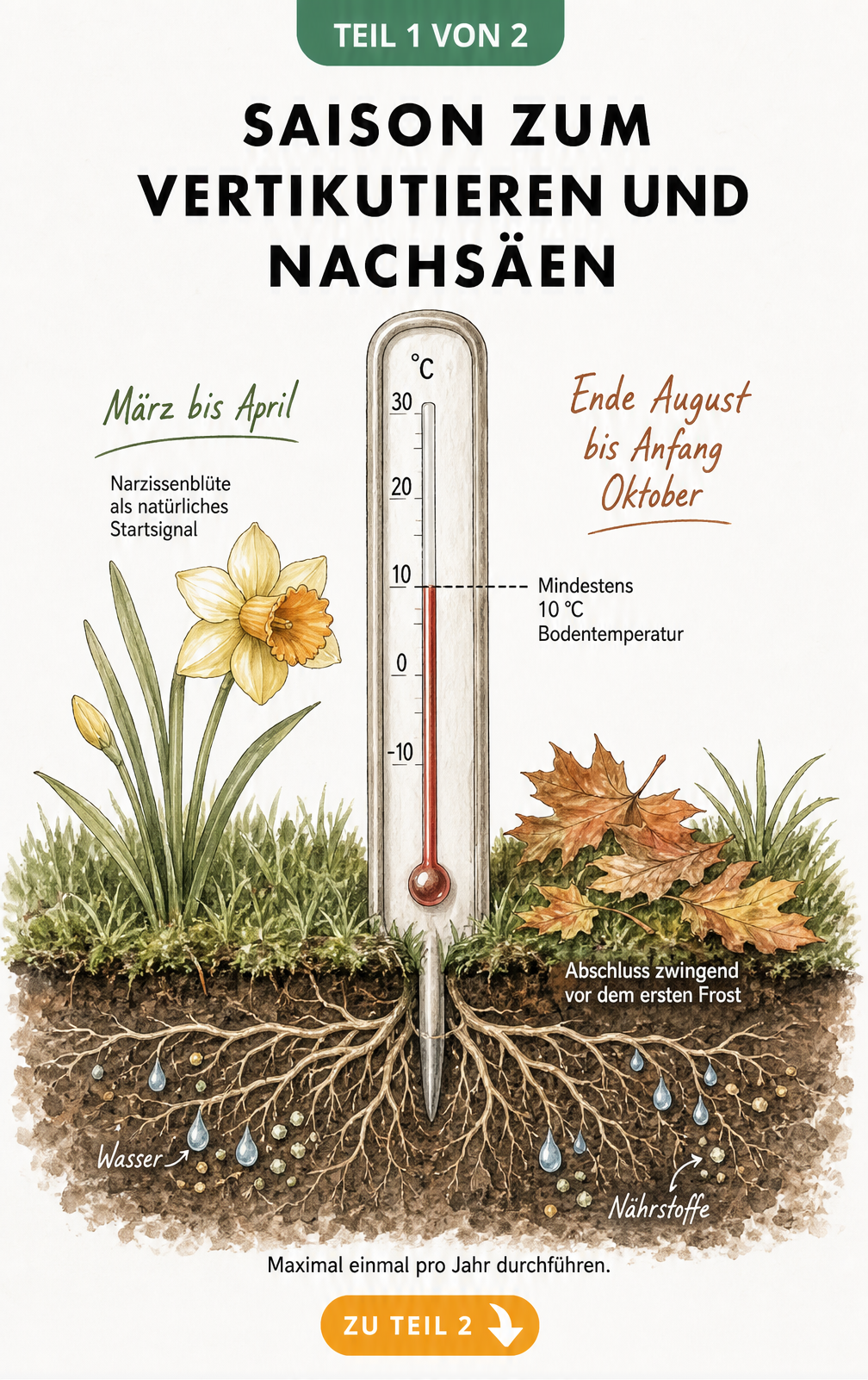 Illustration eines Bodenthermometers, das die Mindesttemperatur von 10 °C für das Vertikutieren und Nachsäen im Frühjahr und Herbst anzeigt.