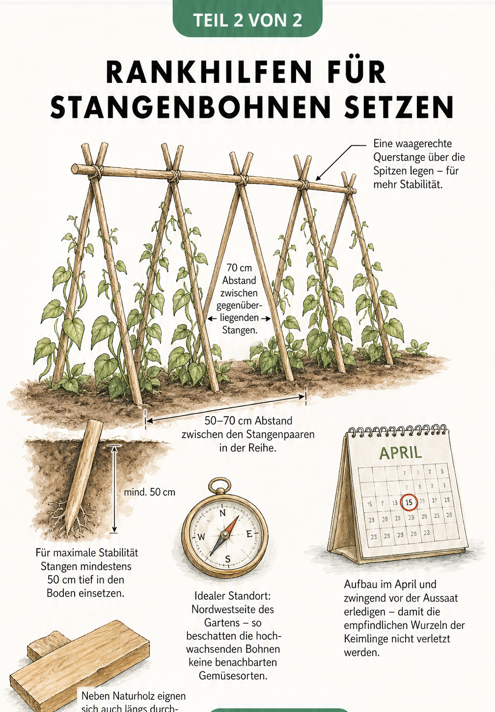 Skizze einer Zeltreihe fuer Stangenbohnen mit Massangaben, Kompass und Kalenderblatt
