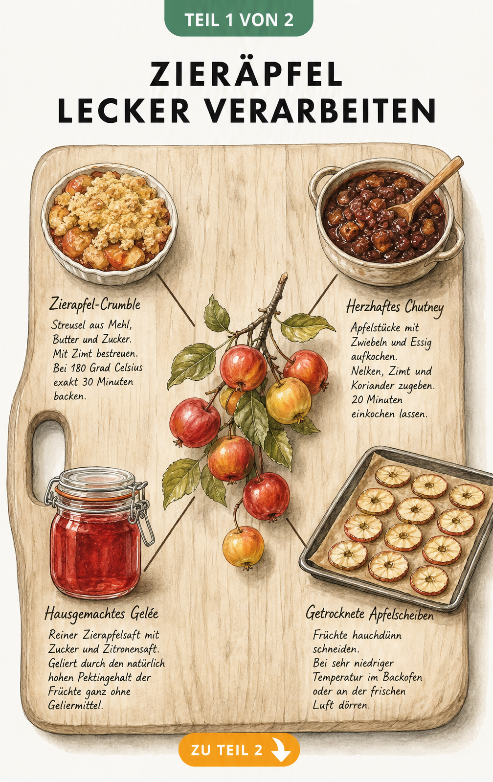 Illustration eines Holzschneidebretts mit Zieräpfeln und vier Rezepten: Crumble, Chutney, Gelée und getrocknete Apfelscheiben