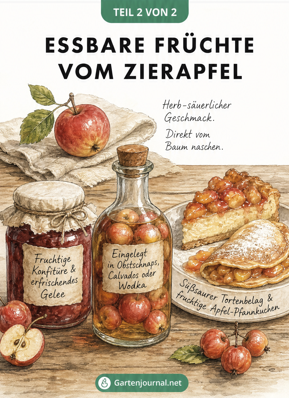 Illustration einer Küchenszene mit Zierapfel, Einmachglas mit Konfitüre, Flasche mit Obstschnaps und Teller mit Kuchen
