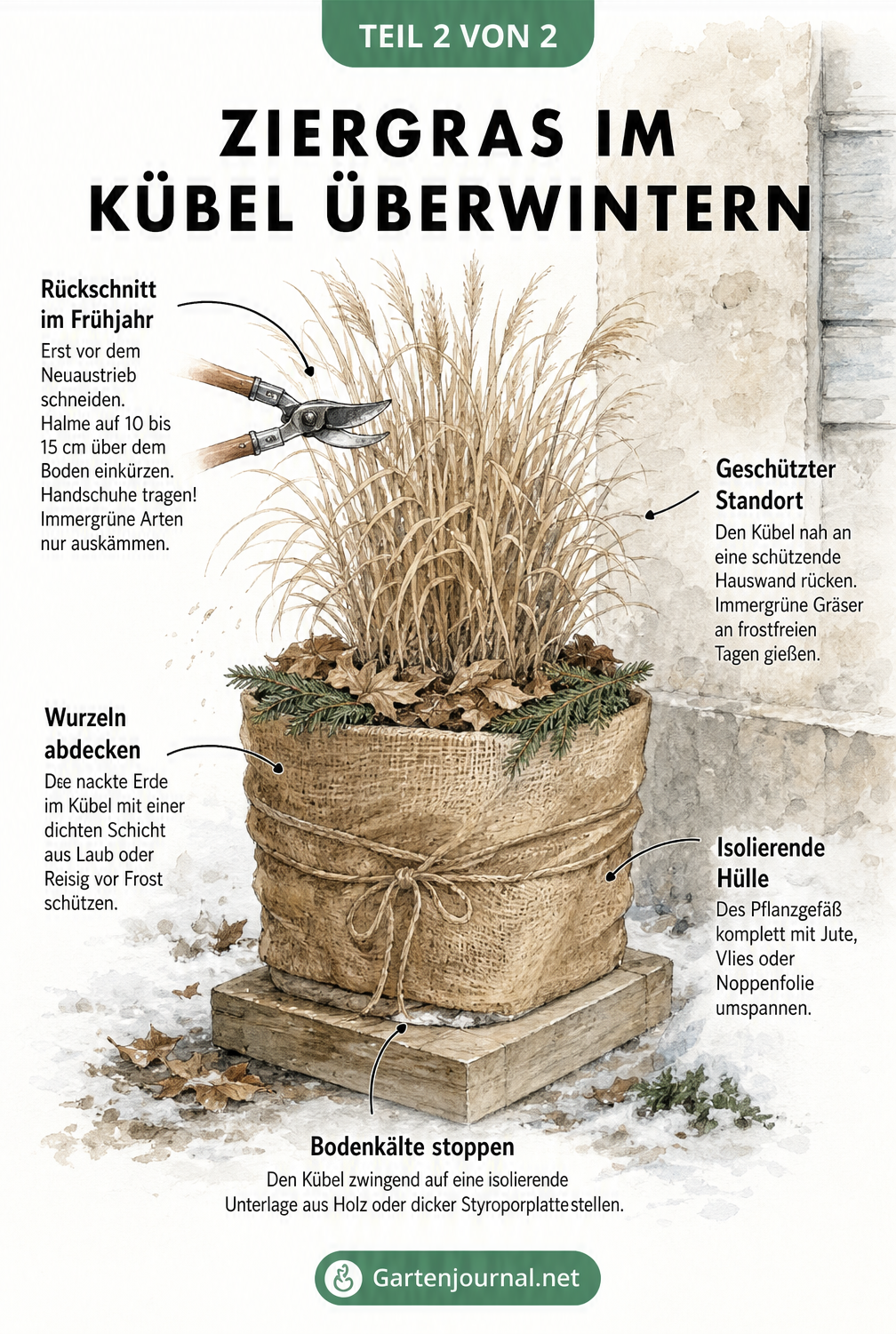 Illustration eines Ziergrases im Kübel mit Winterschutz aus Noppenfolie, Laubabdeckung und isolierender Unterlage.