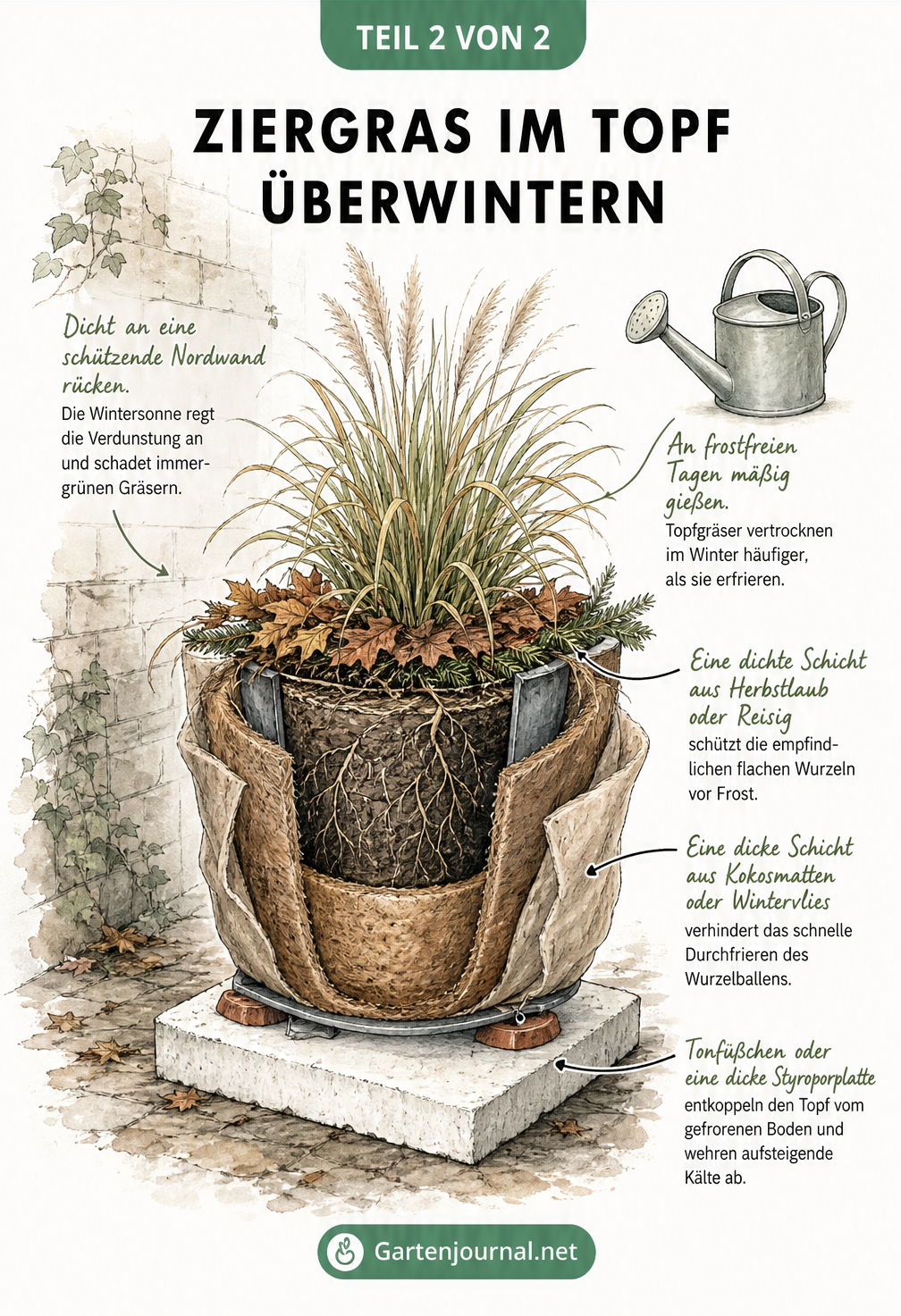 Schnittzeichnung eines Pflanzkübels mit Ziergras, isoliert mit Kokosmatten, Laub und Styroporplatte als Winterschutz.