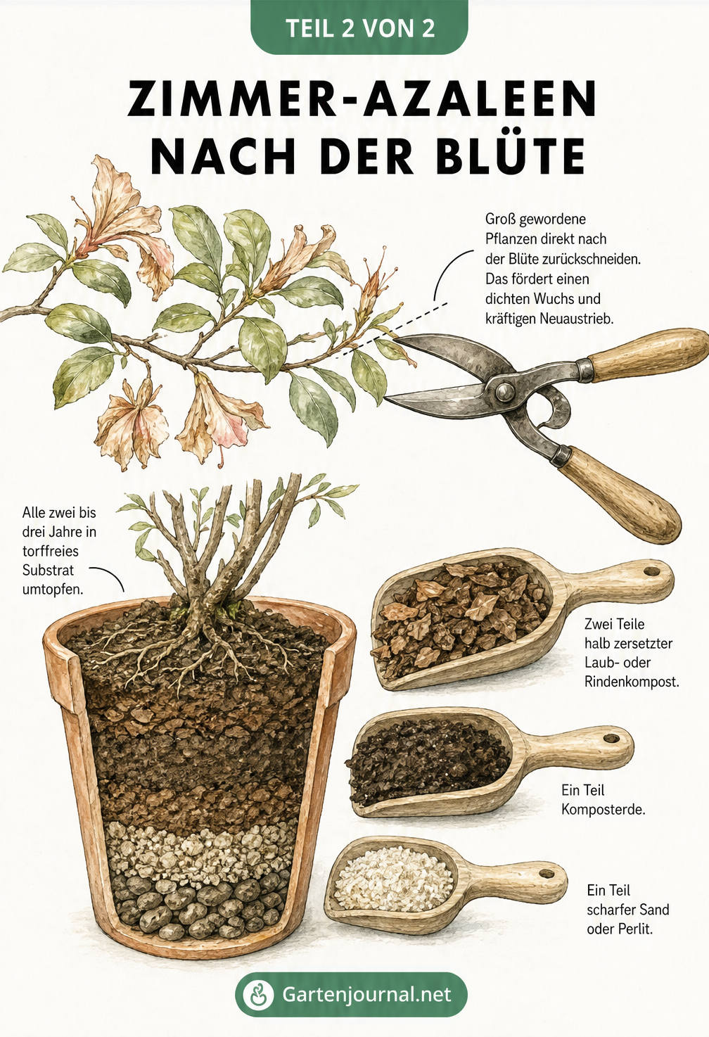 Skizze eines Azaleenzweigs mit Gartenschere und eines Pflanztopfs mit Erdschichten sowie drei Schaufeln mit Substratmischung