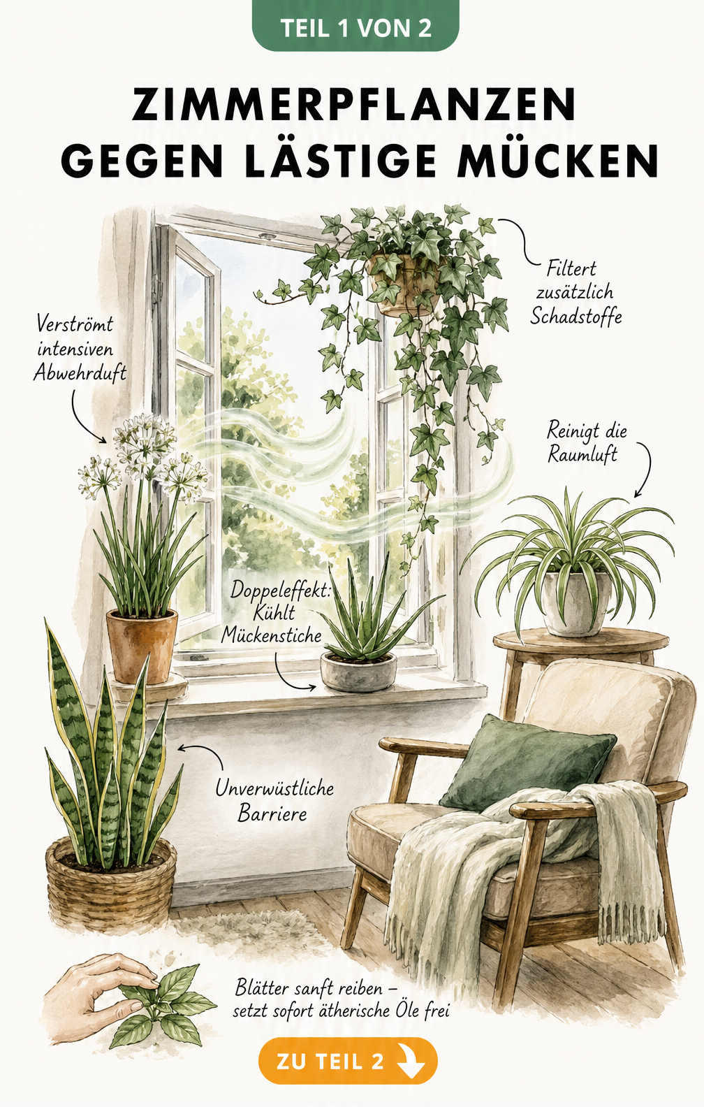Illustration eines Raumes mit Zimmerpflanzen wie Kap-Knoblauch und Aloe Vera zur Mückenabwehr