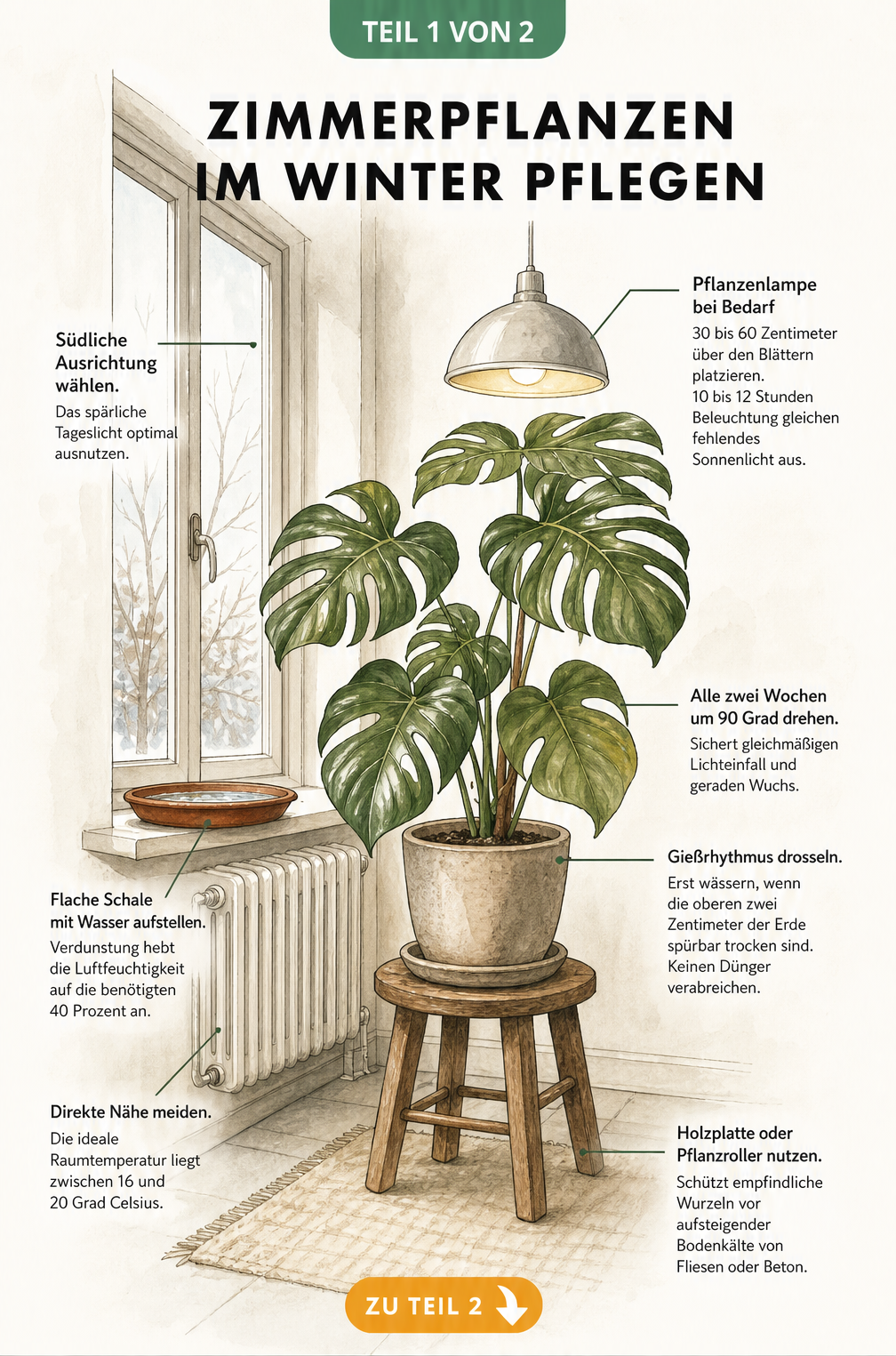 Illustration einer Zimmerpflanze am Fenster mit Pflegetipps für den Winter wie Pflanzenlampe, Gießrhythmus und Temperatur