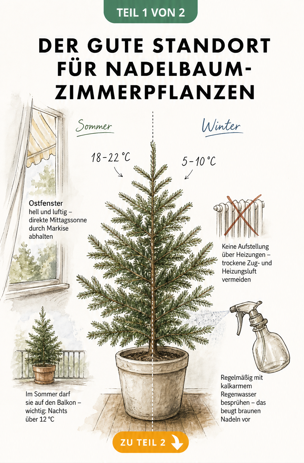 Schnittzeichnung eines Wohnraums mit einer Zimmertanne, die Sommer- und Winterbedingungen sowie Temperaturangaben zeigt.
