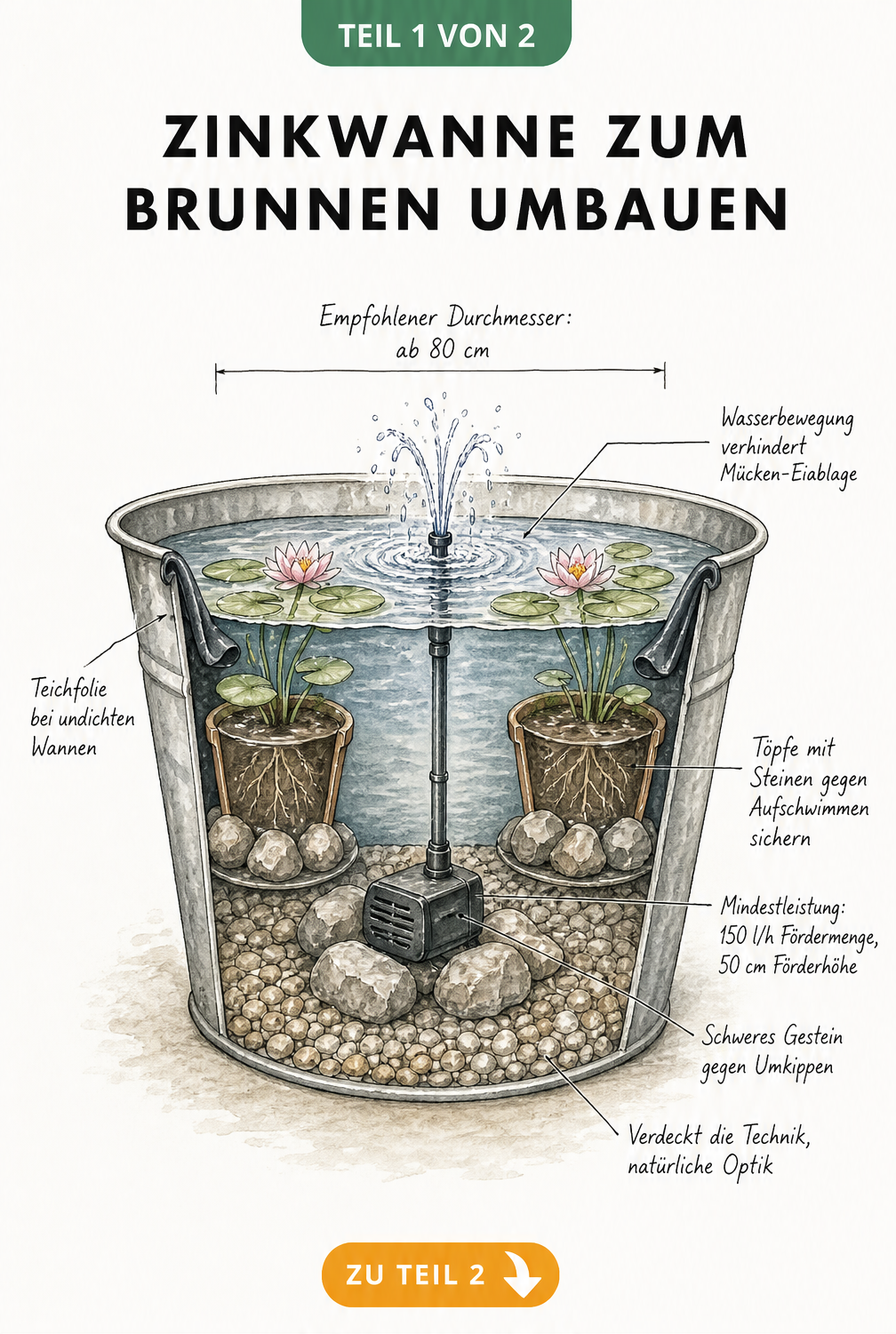 Querschnitt einer bepflanzten Zinkwanne mit Springbrunnen, Pumpe und Seerosen