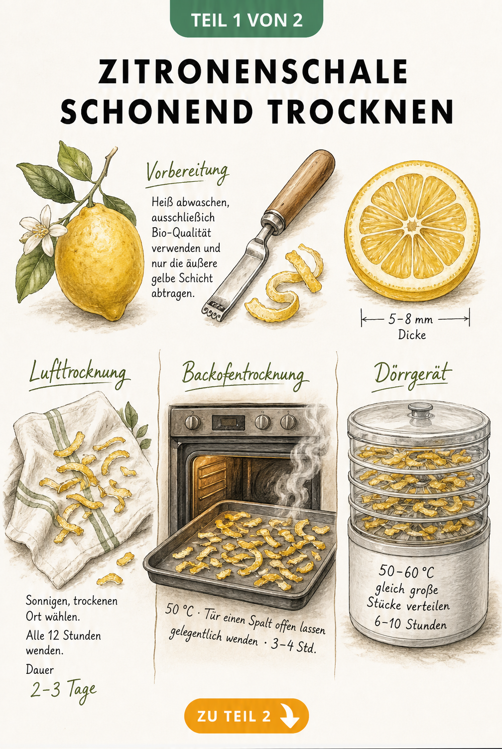 Illustration der drei Methoden zum Trocknen von Zitronenschalen: Lufttrocknung, Backofen und Dörrautomat