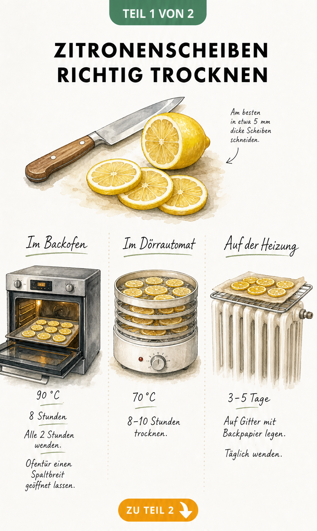 Illustration von drei Methoden zum Trocknen von Zitronenscheiben: Backofen, Dörrautomat und Heizung mit Temperatur- und Zeitangaben