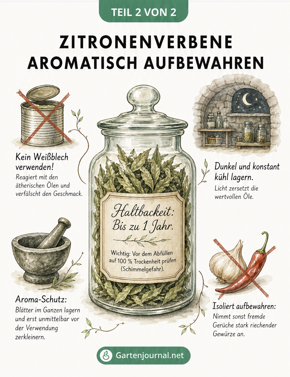 Illustration eines Apothekerglases mit getrockneter Zitronenverbene und Tipps zur aromatischen Aufbewahrung
