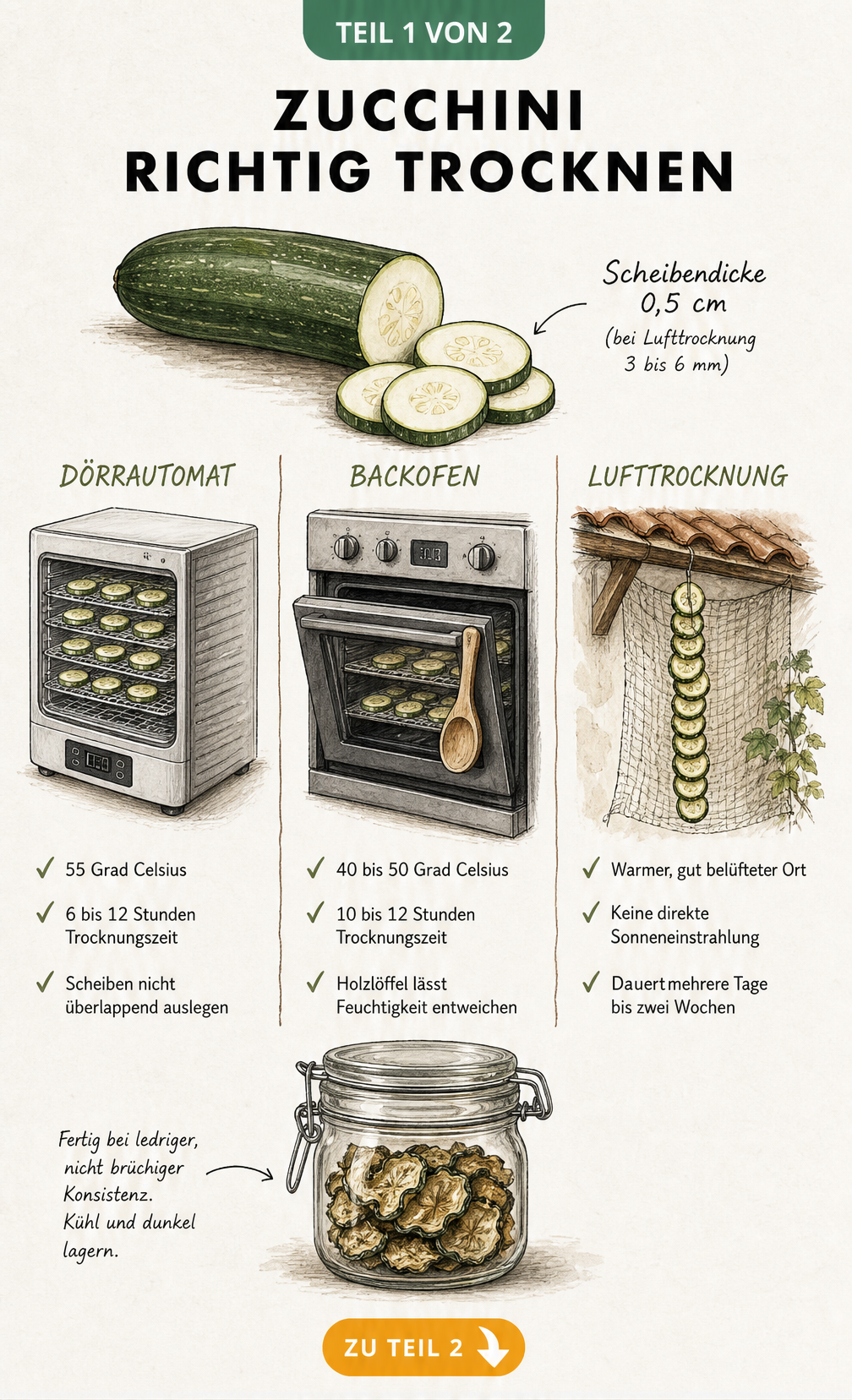Illustration der drei Methoden zum Zucchini trocknen: Dörrautomat, Backofen und an der Luft
