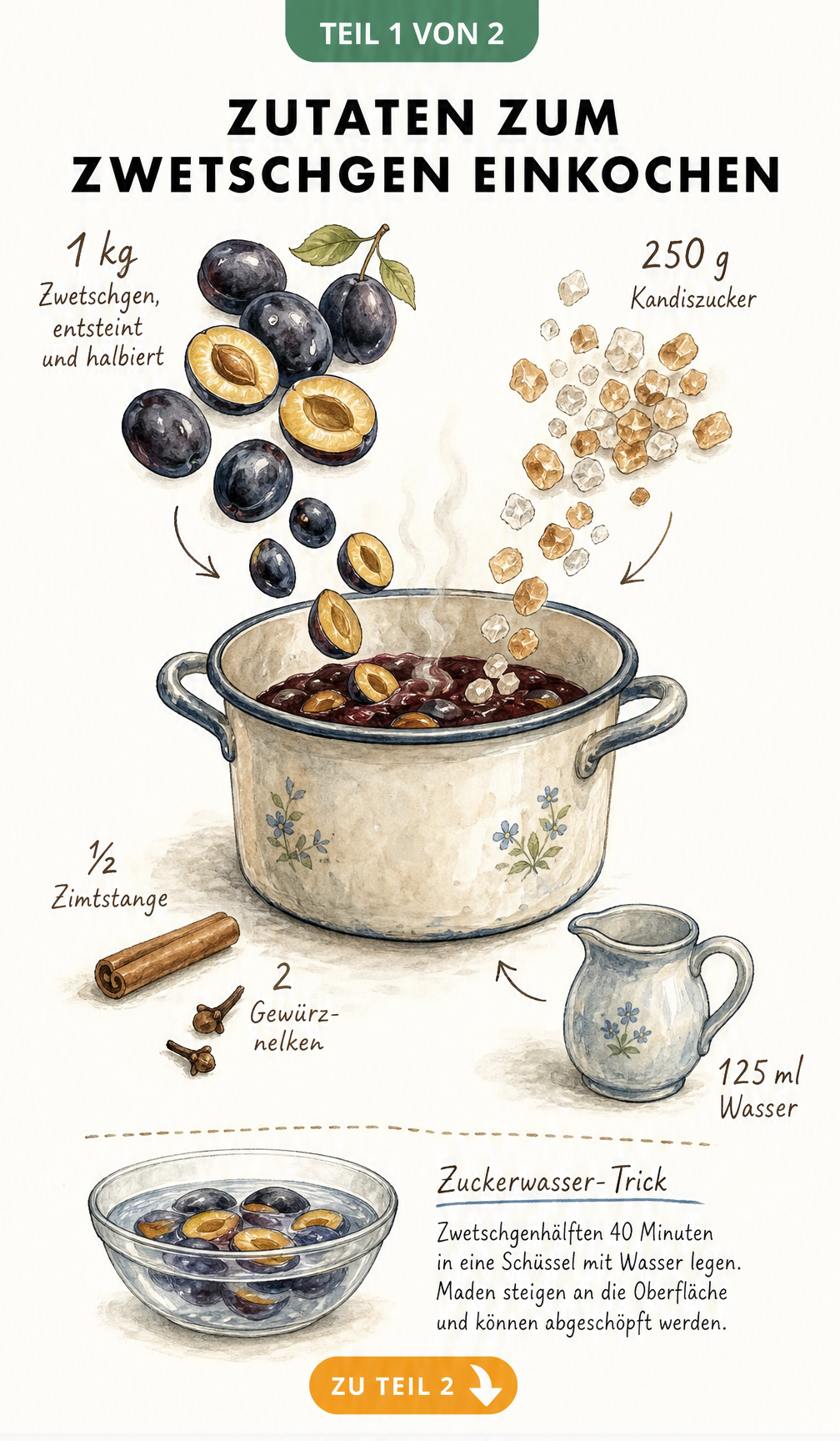Illustration der Zutaten zum Zwetschgen einkochen mit Emaille-Topf, Zwetschgen, Kandiszucker, Zimtstange und Gewürznelken