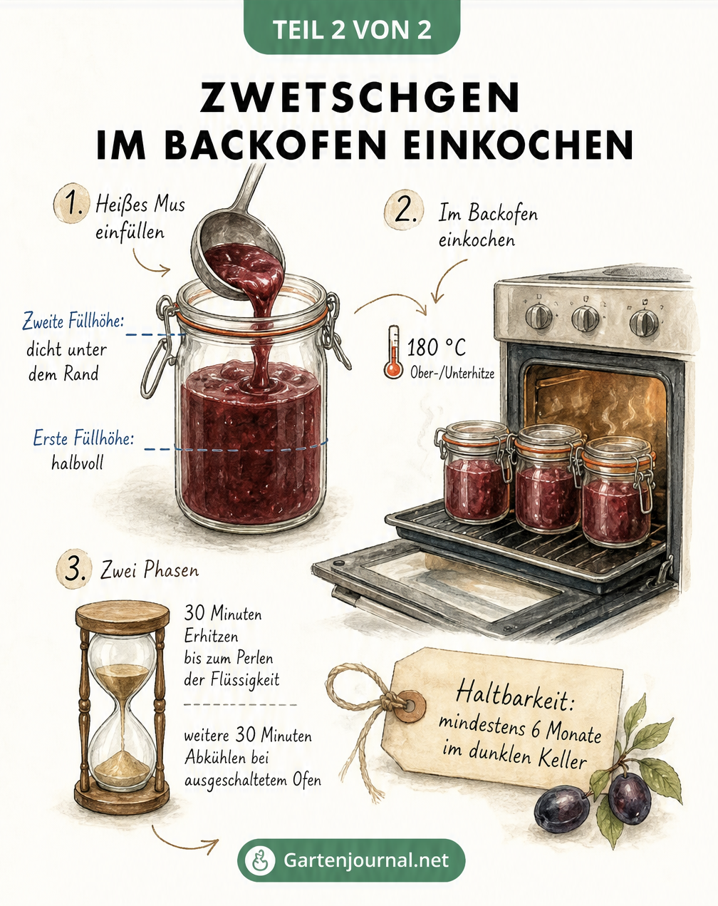Illustration zum Einkochen von Zwetschgen im Backofen mit Einweckglas, Füllhöhen und Temperaturangaben