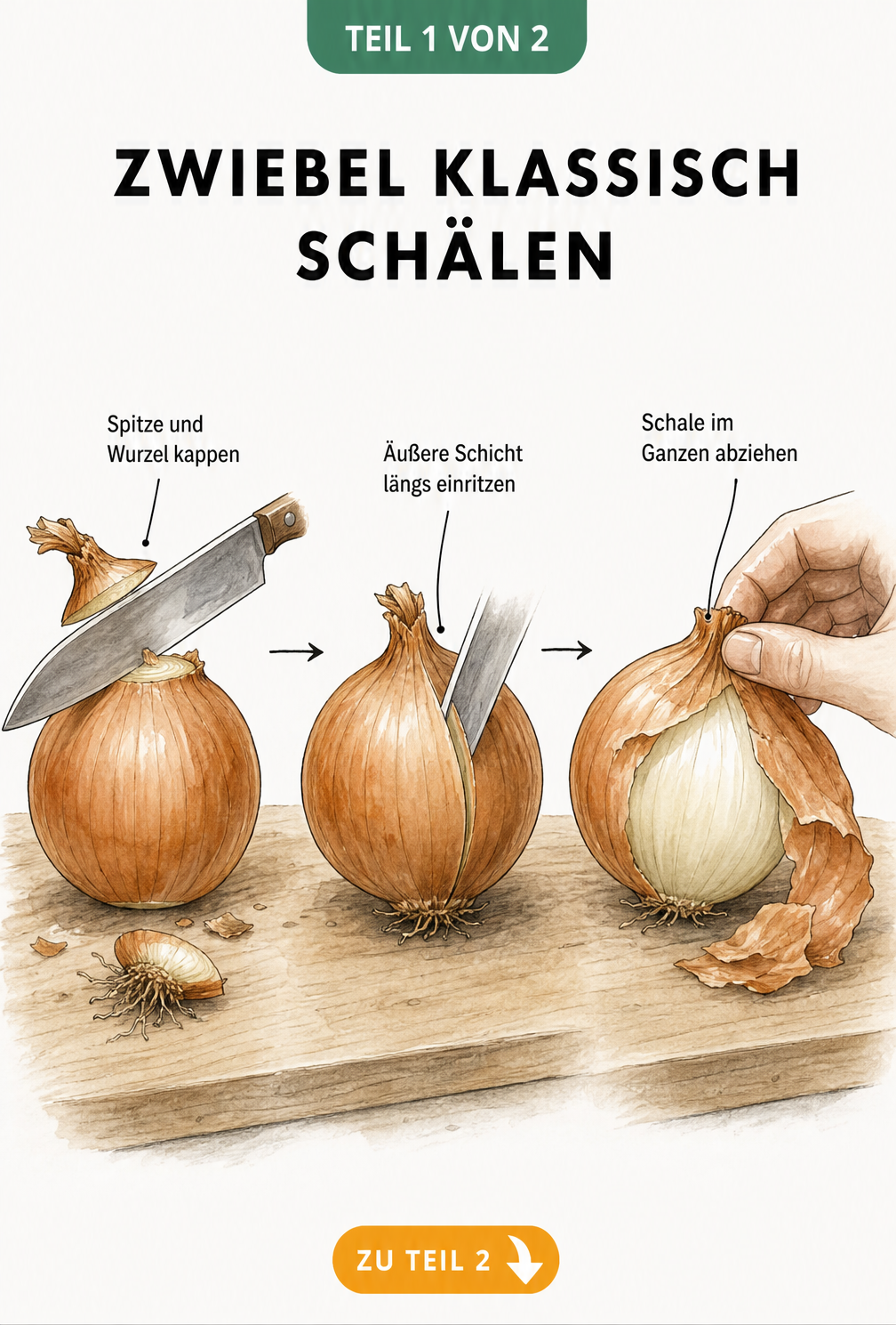 Illustration der klassischen Methode zum Zwiebelschälen: Enden kappen, Schale einritzen und im Ganzen abziehen.