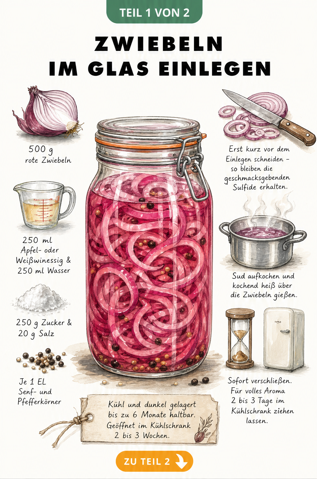 Illustration eines Einmachglases mit roten Zwiebelringen, umgeben von Zutaten wie Essig, Wasser, Zucker, Salz und Gewürzen sowie den Zubereitungsschritten.