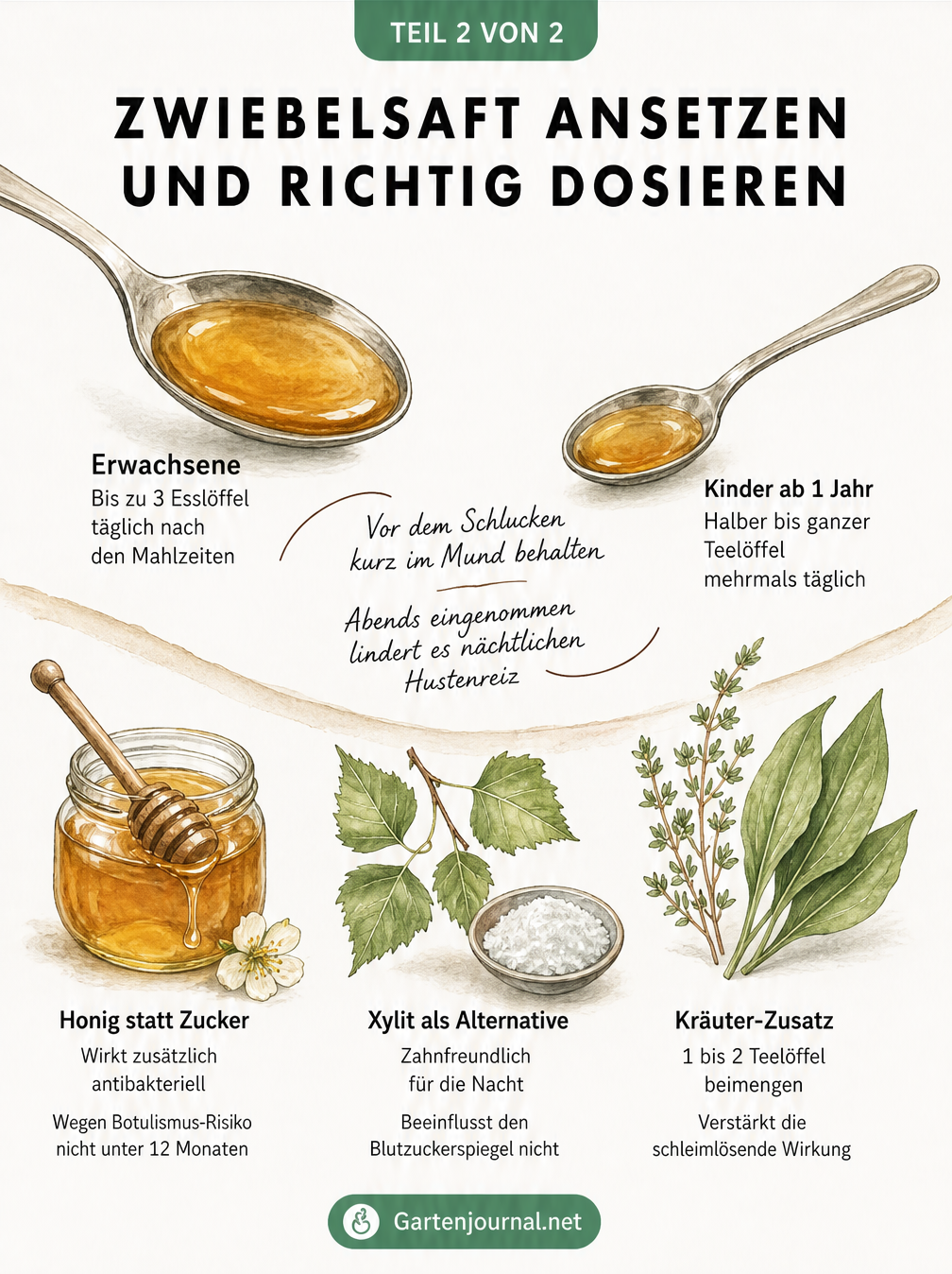 Grafik zur Dosierung von Zwiebelsaft für Erwachsene und Kinder sowie Variationen mit Honig, Xylit und Kräutern