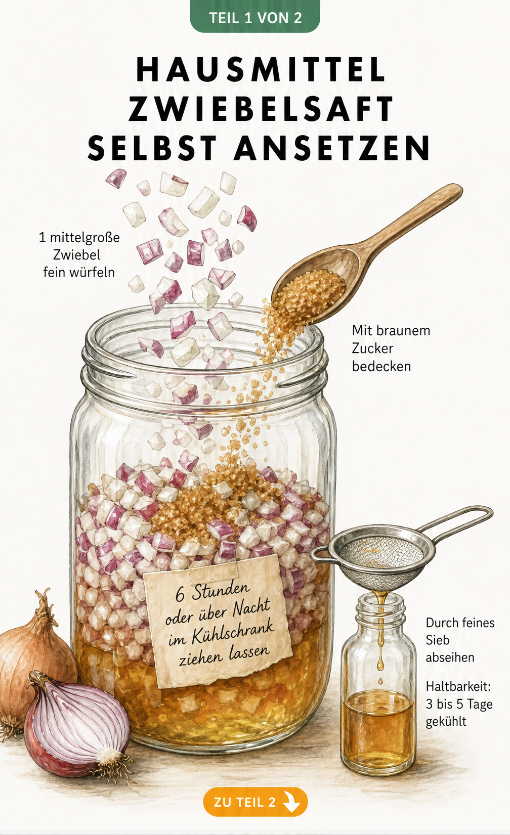 Illustration eines Einmachglases mit Zwiebelwürfeln und braunem Zucker zur Herstellung von Zwiebelsaft