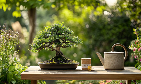 Die richtige Pflege des Bonsai-Baums: Gießen und Düngen