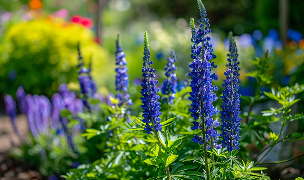 Giftige Blumen