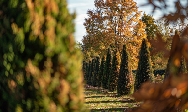 Natürliche Farbveränderungen im Herbst und Winter