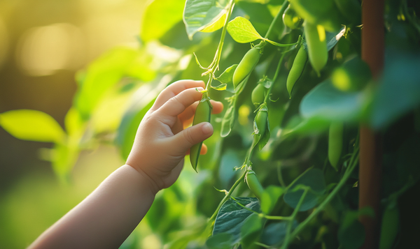 Pflegeleichte Pflanzen für Kinder