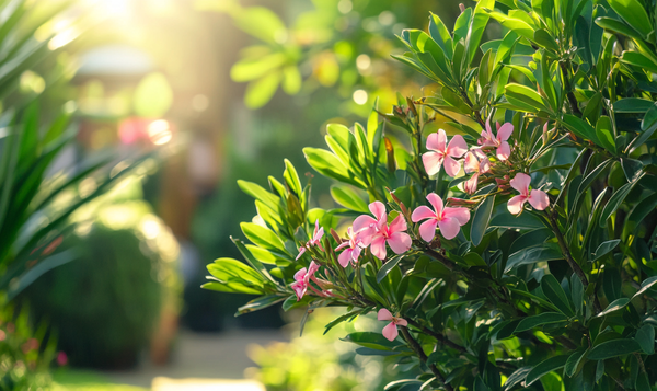 Regelmäßiger Schnitt für Form und Blüte