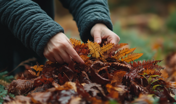 Schutzmaßnahmen ab Herbst