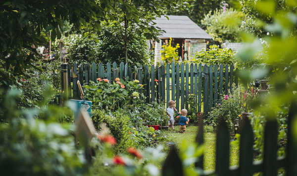 Vorsichtsmaßnahmen im Garten