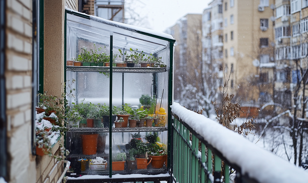 Vorteile eines Balkon-Gewächshauses im Winter
