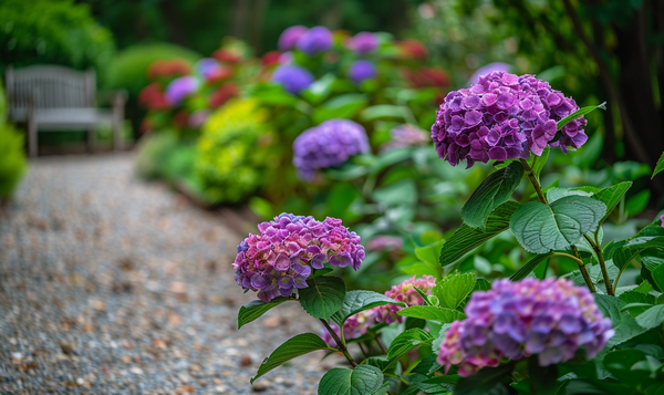 Welche Pflanzenteile der Hortensie sind besonders gefährlich?