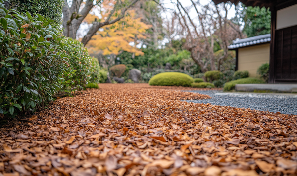 Winterschutzmaßnahmen für Japanische Azaleen