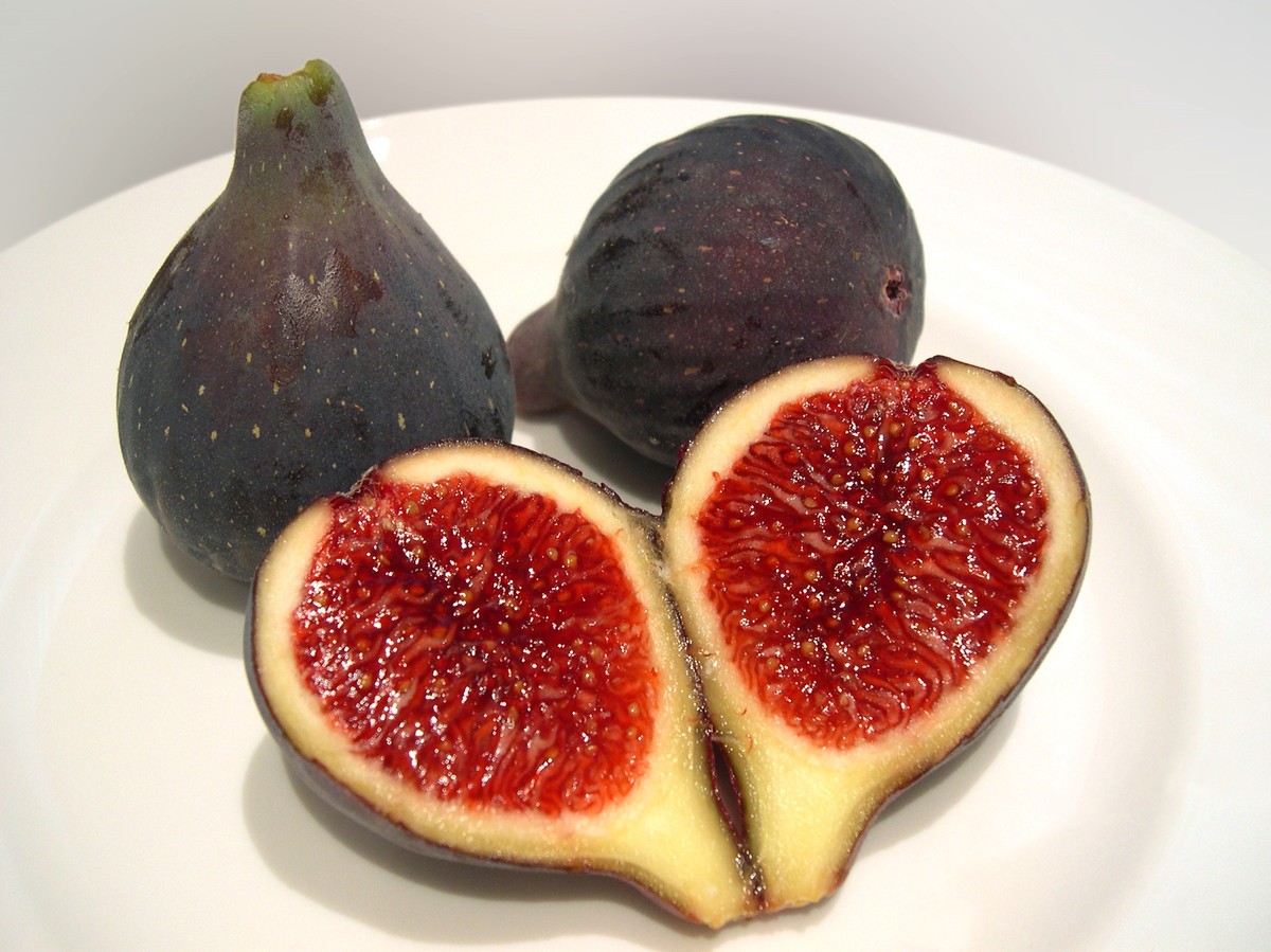 feigenbaum_fruechte