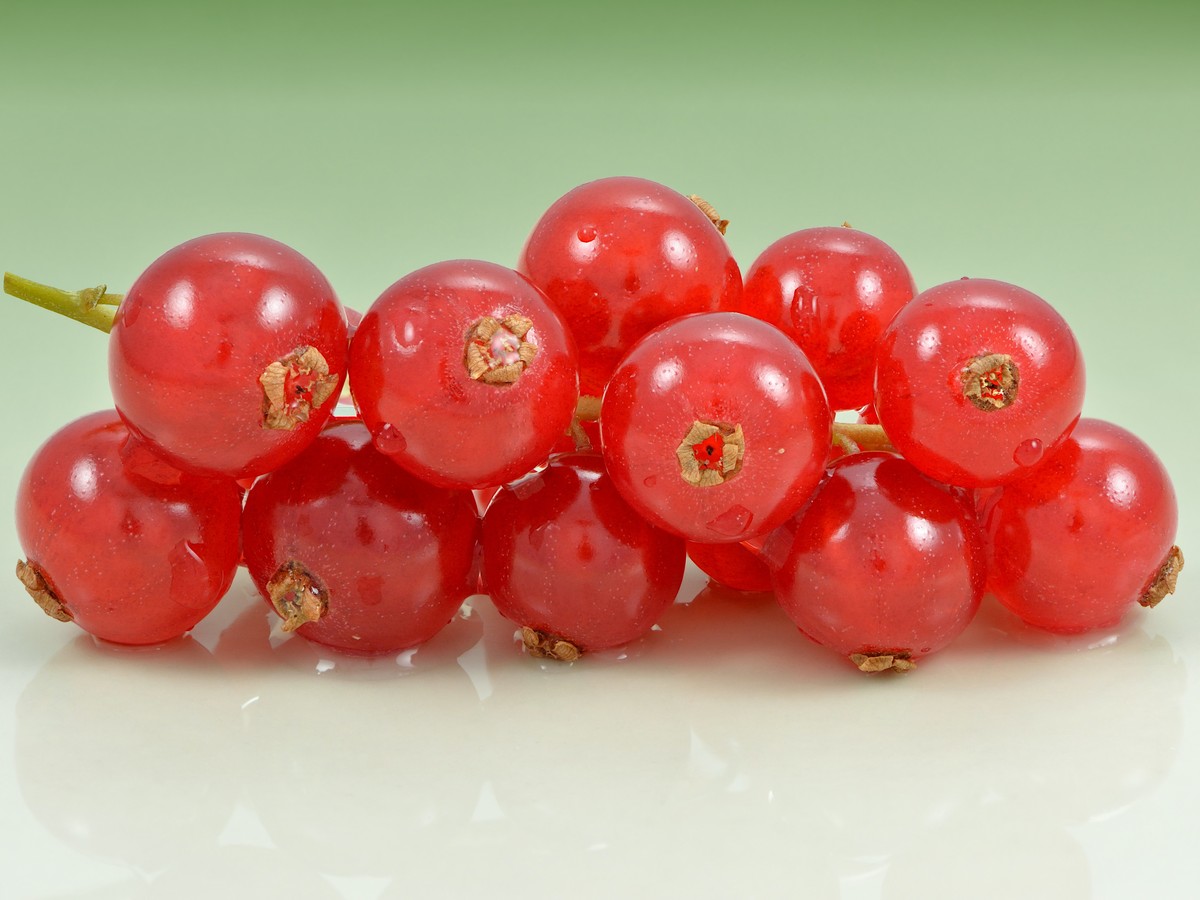 johannisbeere_fruechte